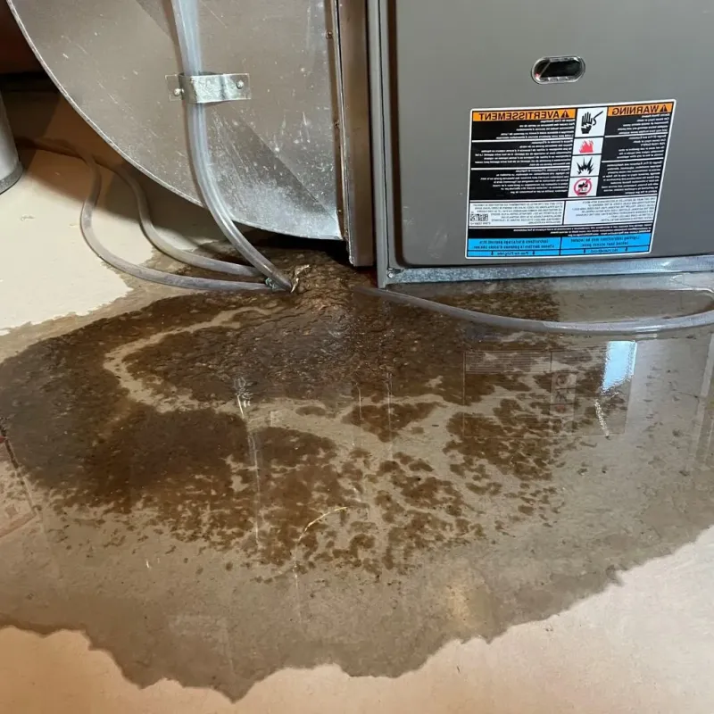 Pipe Burst and Leak Restoration in Crawford County, MO